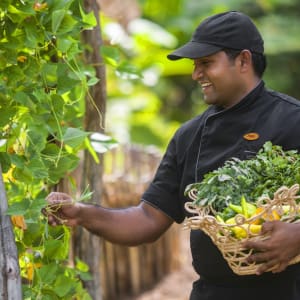 Uga Ulagalla à Anuradhapura:  