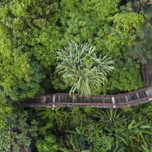 Wanaburee Resort in Khao Lak:  Aerial View