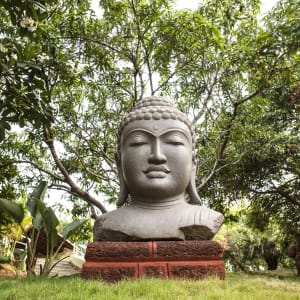 Mercure Goa Devaaya Retreat:  Buddha Statue