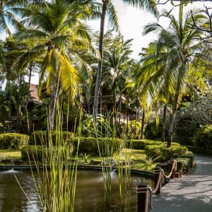 Bo Phut Resort & Spa in Ko Samui:  Garden