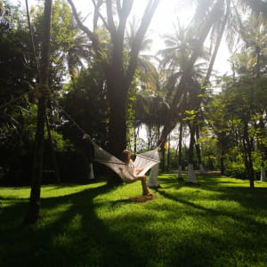 Kairali - The Ayurvedic Healing Village à Coimbatore:  Garden