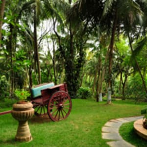 Kairali - The Ayurvedic Healing Village à Coimbatore:  Garden