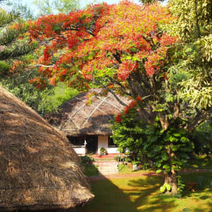 Spice Village in Thekkady:  Garden