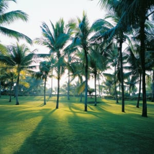 Shangri-La's Mactan Resort & Spa à Cebu:  Resort Gardens