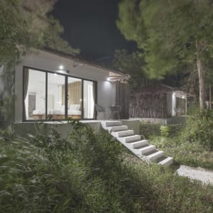 Anaya Koh Rong:  Standard