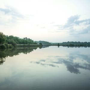Mercure Goa Devaaya Retreat:  Surrounding