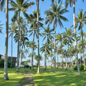 Candi Beach Resort & Spa in Ostbali:  Tropical Garden