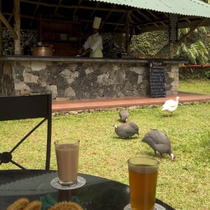 Spice Village à Thekkady:  