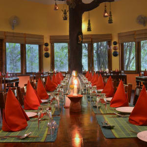 Pench Jungle Camp: f&b: 