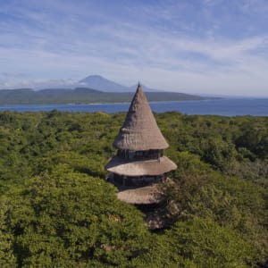 The Menjangan in Nordbali:  Bali Tower Restaurant