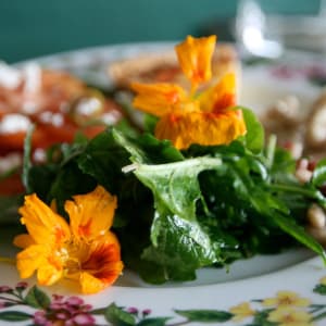 Glenburn Tea Estate à Darjeeling:  Gourmet Glenburn