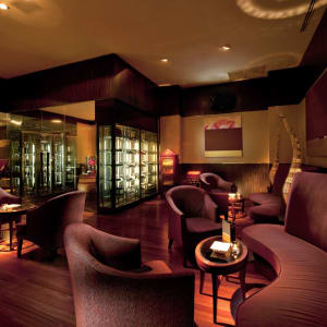 Hyatt Regency Bangkok Suvarnabhumi Airport:  Lounge