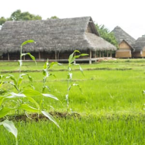 Aliya Resort & Spa in Sigiriya:  Nagula Restaurant