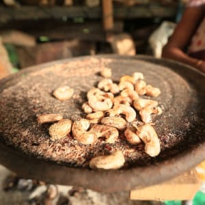 Horathapola Coconut Estate à Yakvila:  peeling of Cashew
