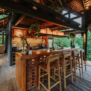 Buahan, a Banyan Tree Escape in Ubud:  The Botanist Bar