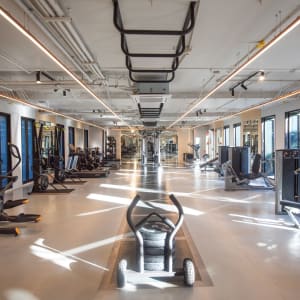 Varana Krabi:  Fitness