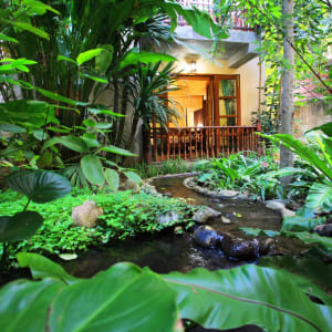 Shewe Wana Suite Resort in Chiang Mai:  Garden