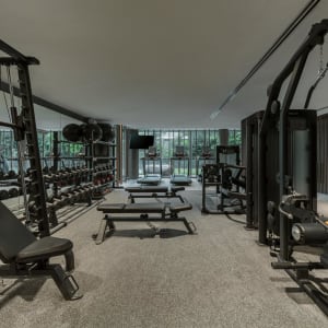 Mandai Rainforest Resort by Banyan Tree in Singapur:  Gym