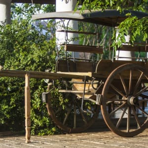 Uga Ulagalla à Anuradhapura:  Resort Exterior