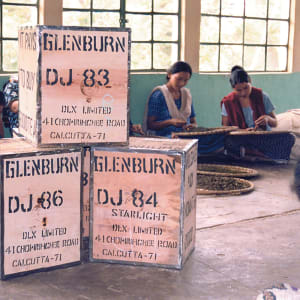 Glenburn Tea Estate à Darjeeling:  Tea Chests