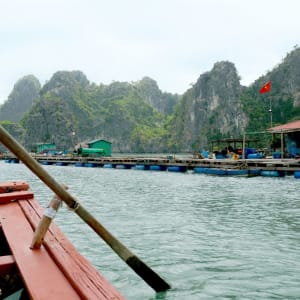 Croisière dans la baie de Bai Tu Long avec « Violet » de Hanoi: Floating fishing village in beautiful scenery