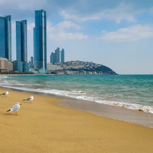 La Corée du Sud compacte sur rails de Séoul: Haeundae Beach with seagulls
