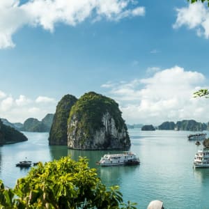 Le paysage marin de la baie d'Halong à Hanoi: Halong Bay