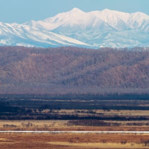 Circuit en groupe «Découverte active du nord du Japon» de Memanbetsu: Hokkaido Kushiro-Shitsugen national park