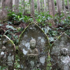 Kumano Kodo: Japans heiliger Pilgerpfad ab Kyoto: Impression of Kumano Kodo trail