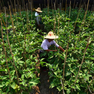 Myanmars Legenden und Impressionen ab Yangon: Inle Lake Ausflug 