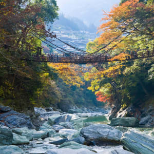 Circuits en voiture de location «Shikoku magique» de Osaka: Iya valley and Kazurabashi Vine Bridge