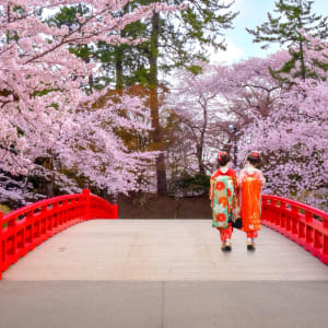 Geheimnisvolles Nordjapan ab Tokio: Japanese Geisha at Hirosaki park