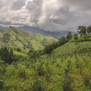 Wandern im malerischen Shan Staat (4 Tage) ab Inle Lake: Kalaw Tea Plantation