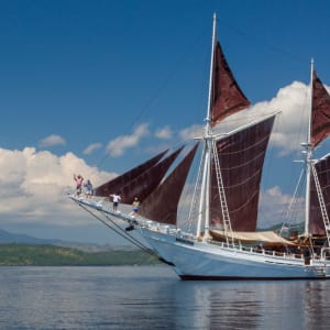 Kreuzfahrt zu den Komodo-Waranen ab Labuan Bajo: Katharina