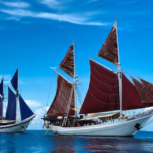 Kreuzfahrt zu den Komodo-Waranen ab Labuan Bajo: Katharina & Ombak Putih