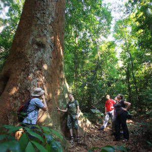 Elephant Hills - 2 Tage ab Phuket: Khao Sok National Park: Jungle trekking