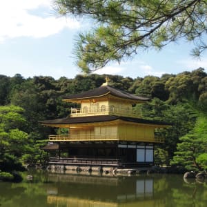 The Golden Route de Tokyo: Kyoto Golden Pavilion Kinkakuji