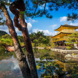 Gruppenreise «Samurai» ab Hakodate: Kyoto - The Golden Pavilion (Kinkakuji Temple)
