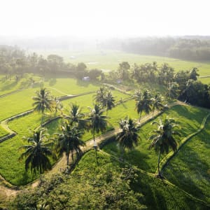 Kairali - The Ayurvedic Healing Village à Coimbatore:  Aerial View