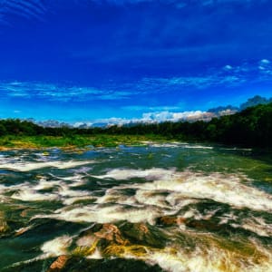 Kairali - The Ayurvedic Healing Village à Coimbatore:  Aerial View