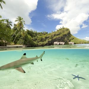 Misool Eco Resort à Sorong:  Lagoon