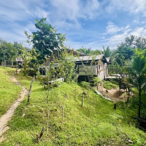 Sarawak – la nature dans toute sa splendeur de Kuching: location: Local Village Kampong Nyegol