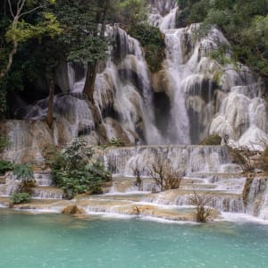 Tour de ville en tuk tuk et cascade de Kuang Si à Luang Prabang: Luang Prabang - Kuangsi Waterfall 