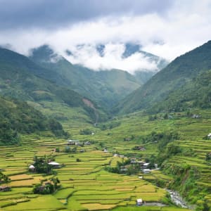 Circuit au nord de Luzon de Manille: Luzon Banaue rice fields