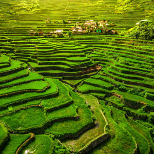 Circuit au nord de Luzon de Manille: Luzon Ifugao rice terraces