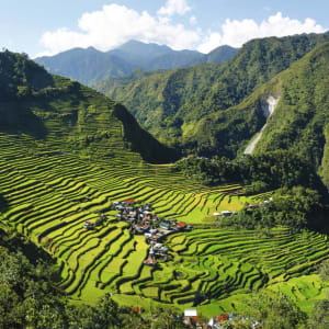 Circuit au nord de Luzon incluant une randonnée à Batad de Manille: Luzon - rice field terraces in the area of Batad