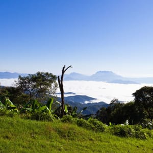 Circuit en voiture de location Mae Hong Son de Chiang Mai: Mae Hong Son: foggy mountains