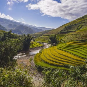 Luxuriöse Idylle in Mai Chau ab Hanoi: Mai Chau: Terraced rice field