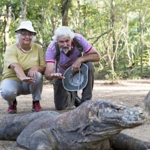 Kreuzfahrt zu den Komodo-Waranen ab Labuan Bajo: Meeting the Dragon