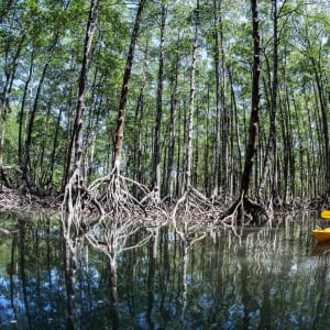 Segeltörn im paradiesischen Mergui Archipel ab Kawthaung: Mergui Archipelago